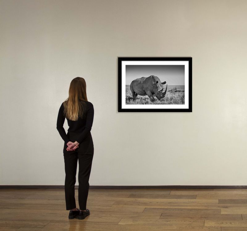 36 x 24 in., edition of 15